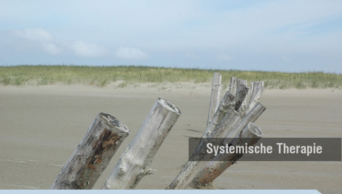 Systemische Therapie